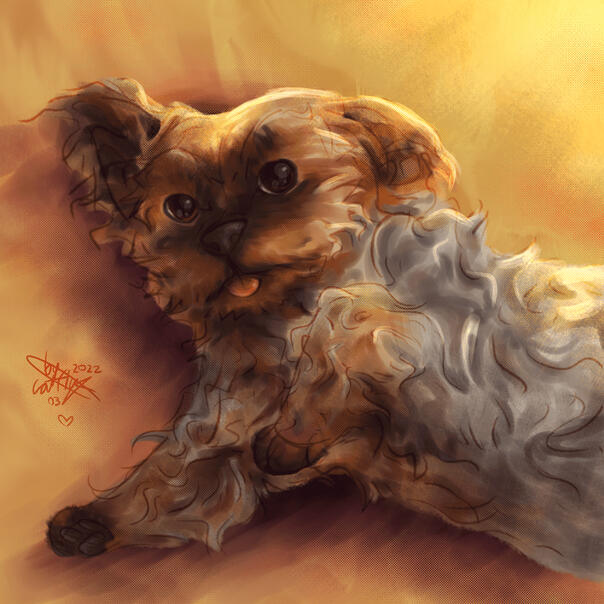 Pet portrait