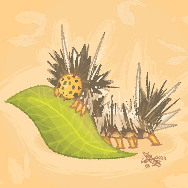 Untitled Untitled